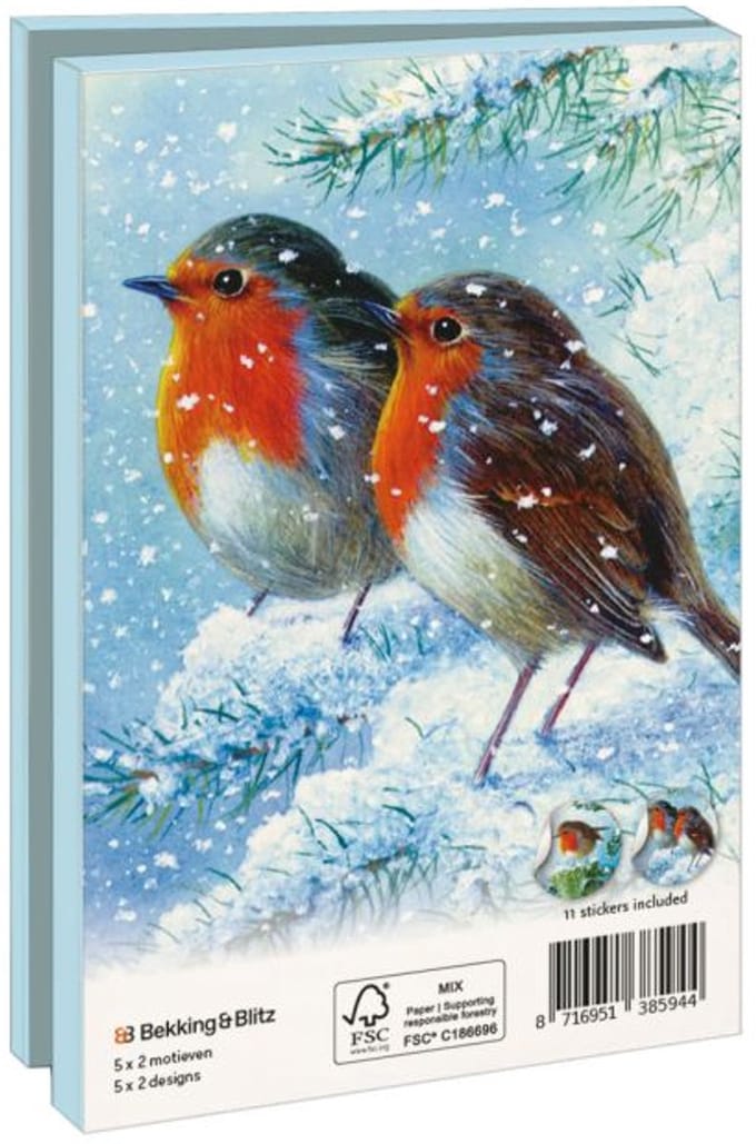 Kaartenmapje 10 stuks met enveloppen – Robin in the Winter, Brian Rushton