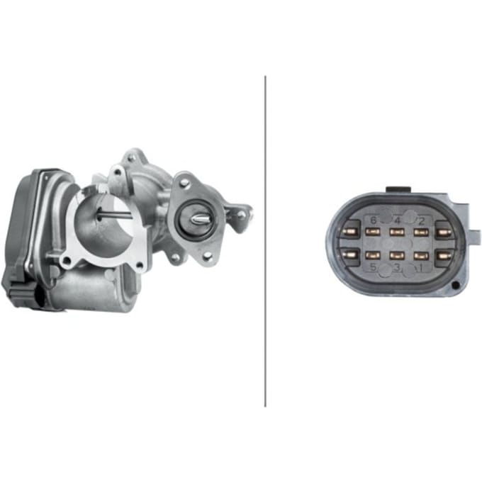 EGR-klep HELLA 6NU 010 171-291