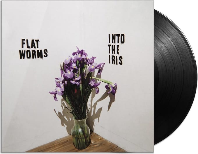Into The Iris - Flat Worms