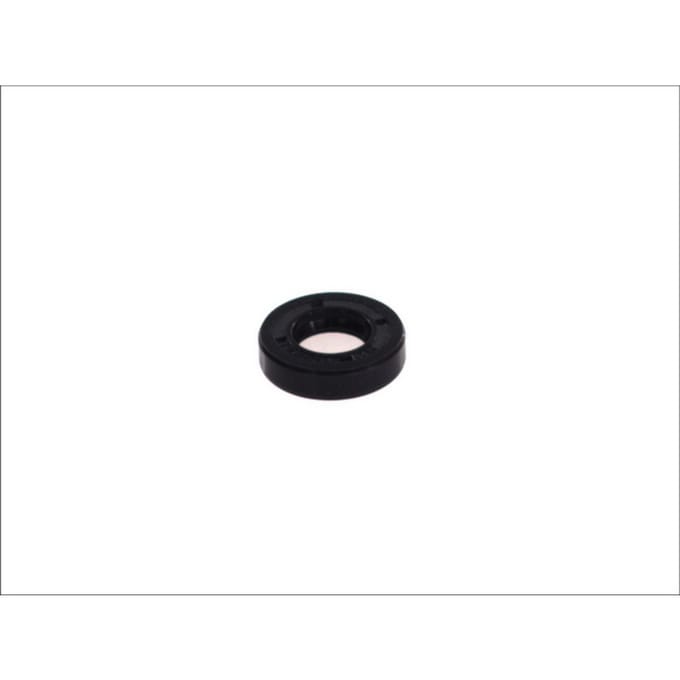 Pakking, brandstofpomp LEMA LE01030123