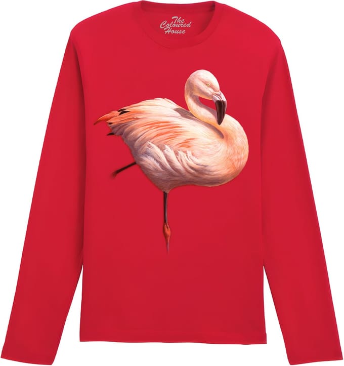 Flame Flamingo The Coloured House Longsleeve T-shirt M