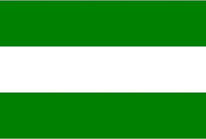 Vlag Rotterdam 90 x 150