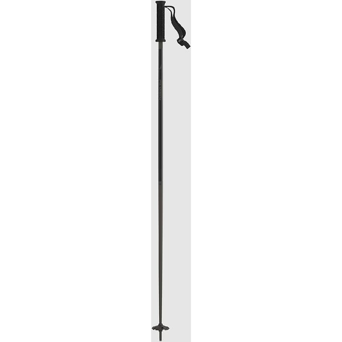 Atomic Park Ski Stokken patroon