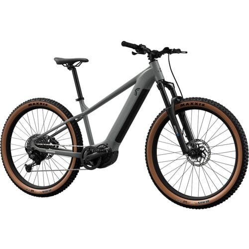 CRIVIT Elektrische mountainbike PEAK 709 (maat l (29 inch))
