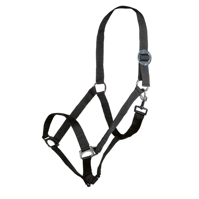 Halster voor paarden HKM Stars Economy
