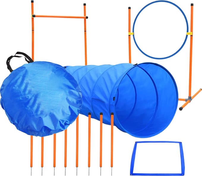 Behendigheidsset voor honden - dog agility kit