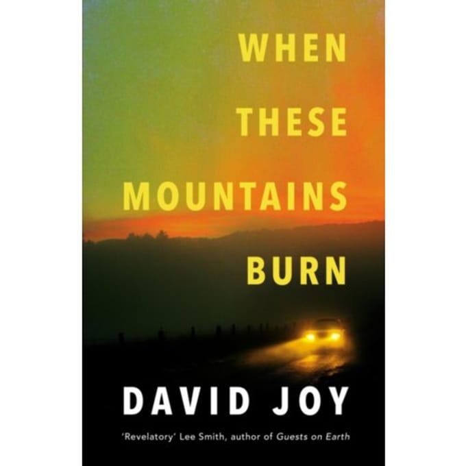 When These Mountains Burn - David Joy