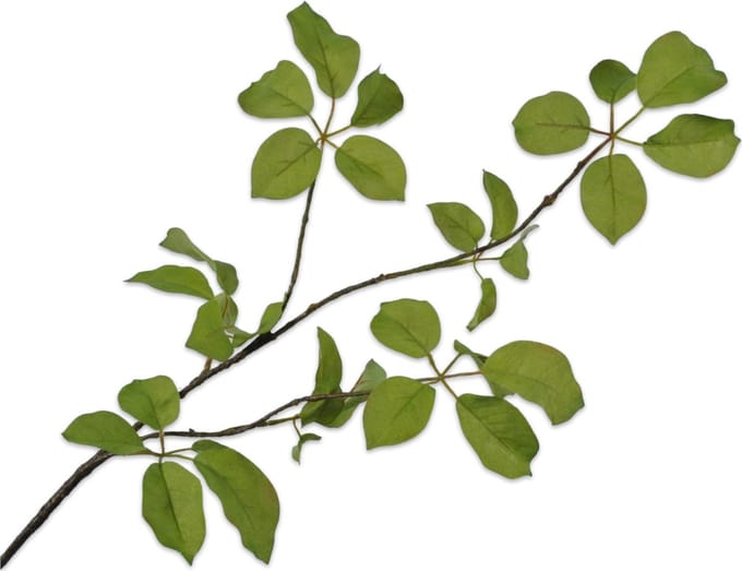 Silk-ka - Kunsttak - bladtak - groen - H91 cm
