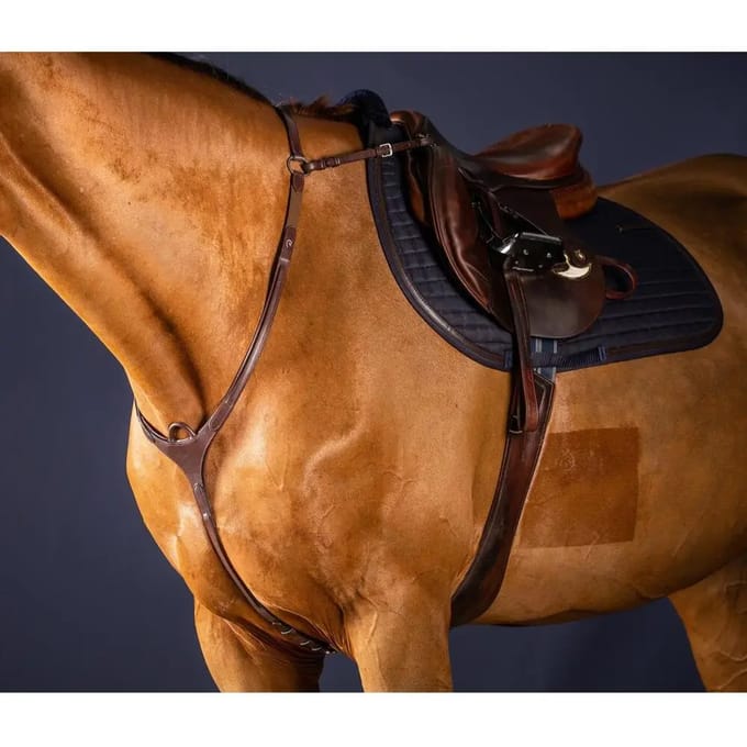 Jachthalsband voor brugpaard Dy'on