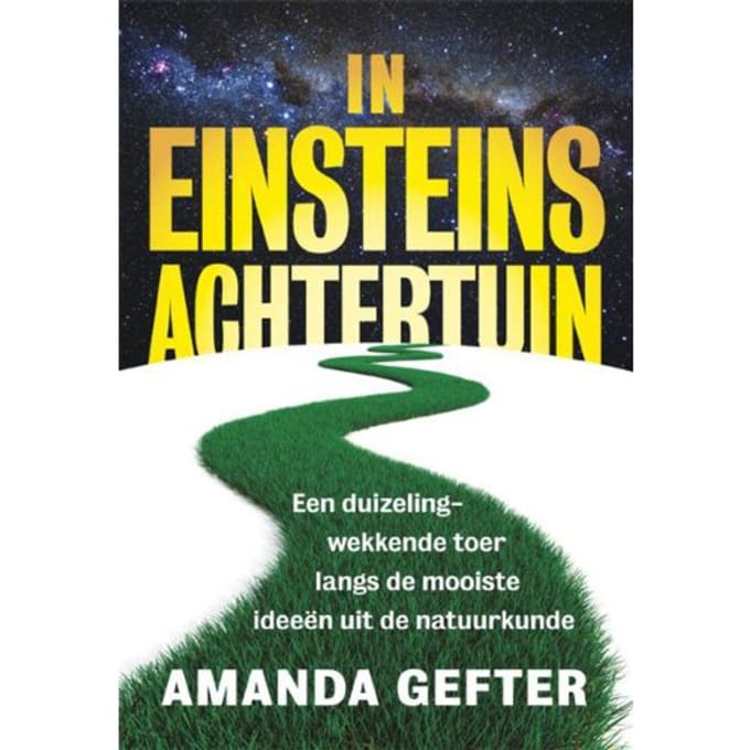 In Einsteins Achtertuin - Amanda Gefter