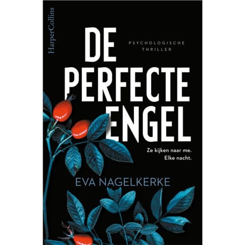 De Perfecte Engel - Eva Nagelkerke