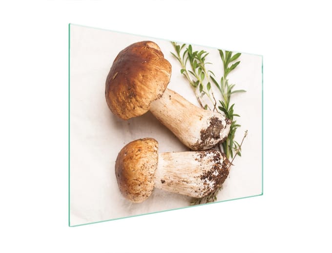 TMK ArtDeko - Glazen Beschermplaat - 70x52 cm - Paddestoelen