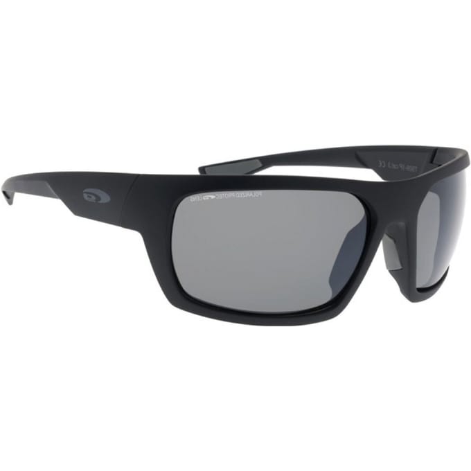 Goggle T909-1P Zonnebril Gepolariseerd Heren