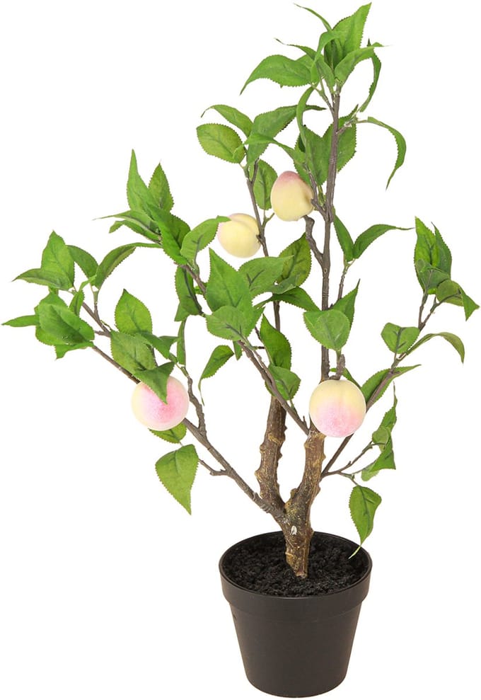 Kunstmatige perzikboom met 4 vruchten, decoratief, H53cm