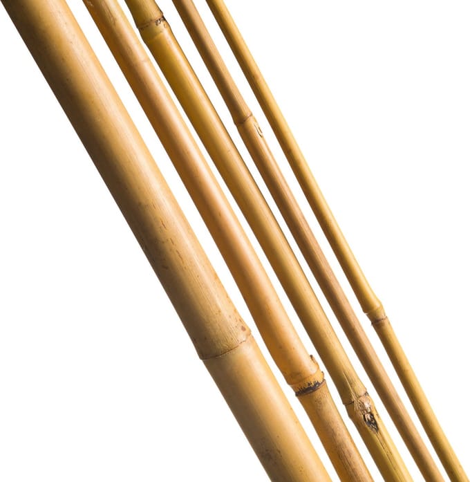 Nature Bamboestok Natural - Klim-En Geleide Artikel - 120 cm