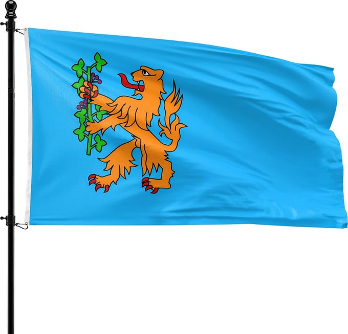 VlagDirect - Brummen vlag - Gemeente Brummen vlag - 90 x 150 cm.