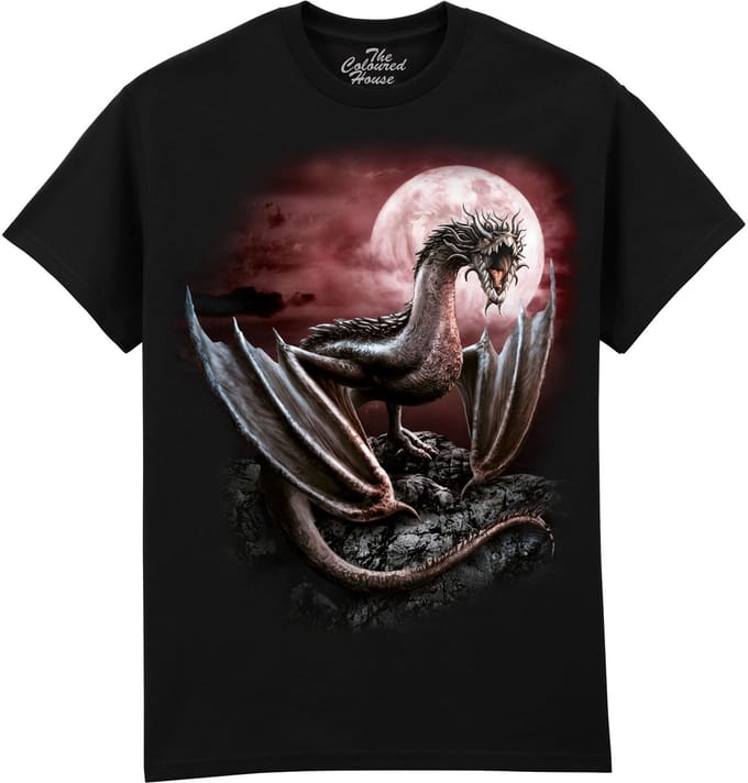 Draak Darius Dragon The Coloured House T-shirt S