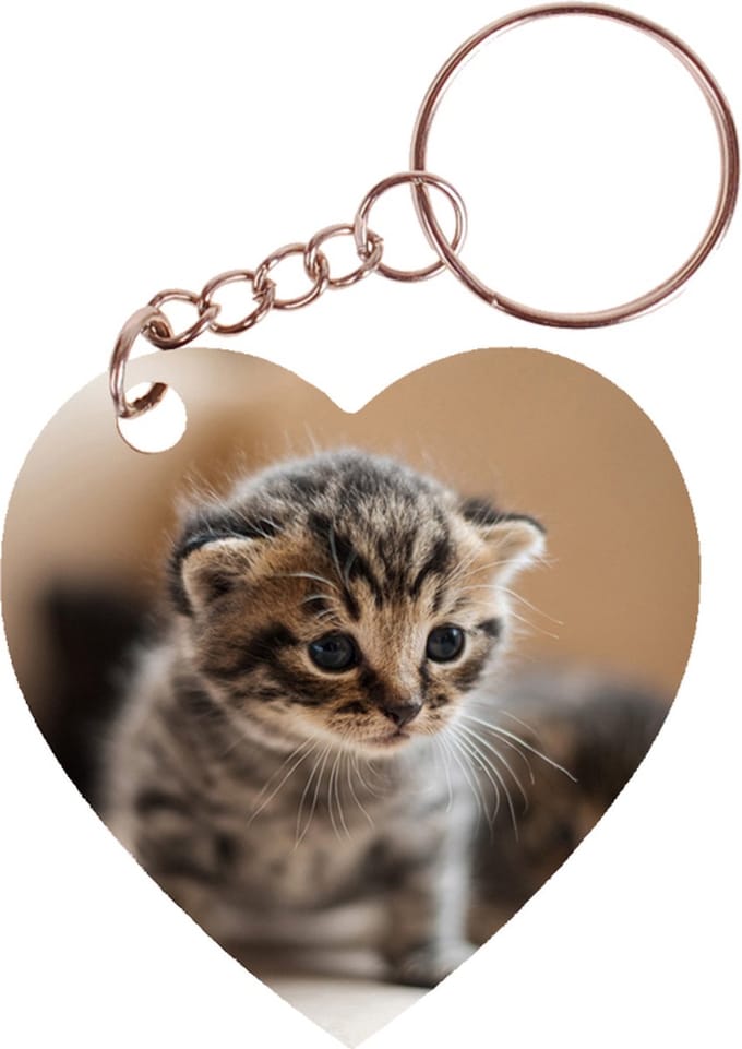 Sleutelhanger hartje 5x5cm - Kittens op Ontdekkingstocht