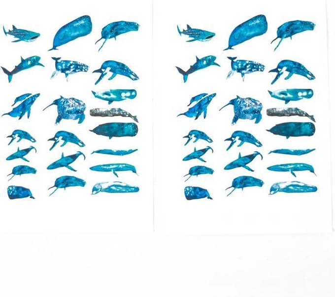 Set van 2 Stickervellen Whales| Stickervellen voor Bulletjournals en Scrapbooking