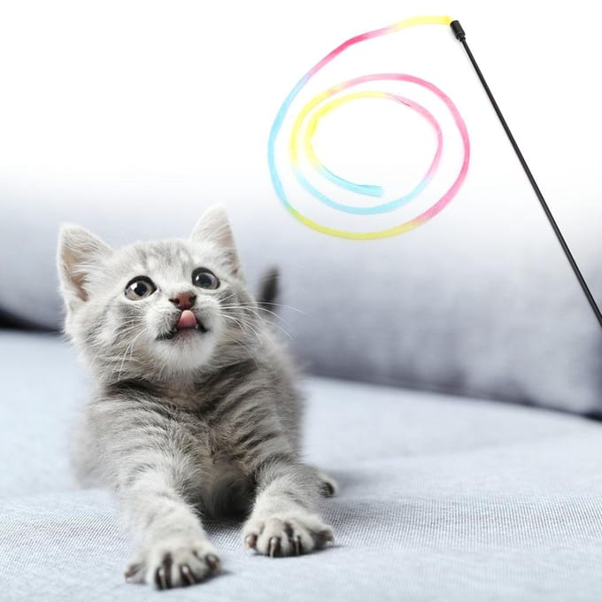 Grappig kattenspeelgoed, kattenspeelgoed, kattenspeelgoed, speelstokje, interactieve speelset white
