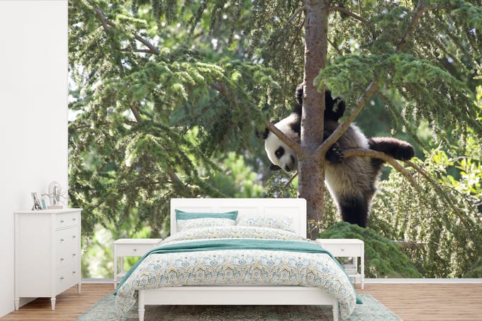 Behang - Fotobehang Panda - Boom - Bladeren - Breedte 600 cm x hoogte 400 cm