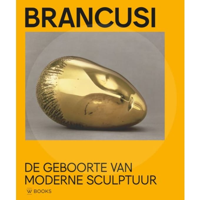 Brancusi - Ariane Coulondre e.a.