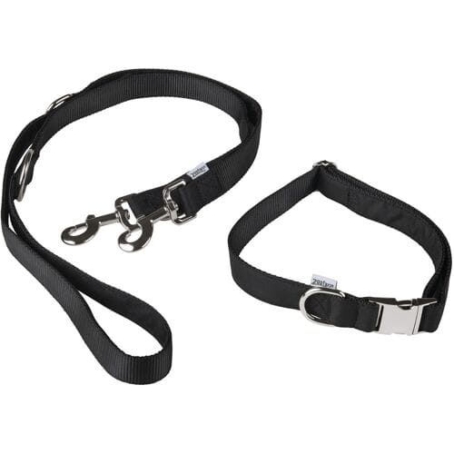 zoofari Hondenhalsband (M, Zwart)
