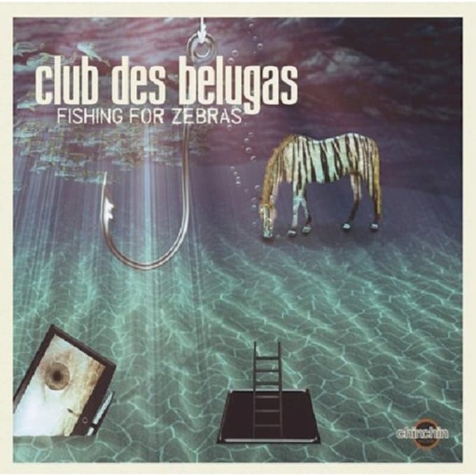 Fishing For Zebras - Club Des Belugas