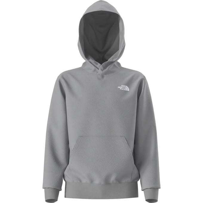 Capuchon sweaters The North Face Evolution Simple Dome