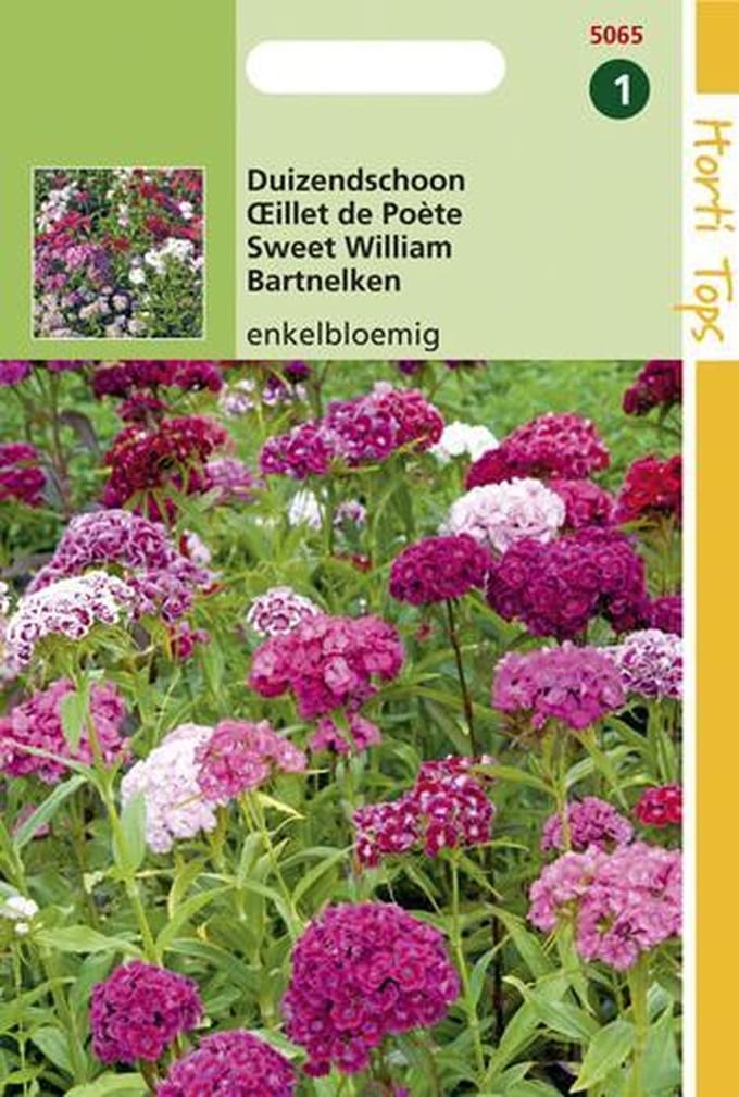 Hortitops Zaden - Dianthus Barbatus Enkelbloemig Gemengd