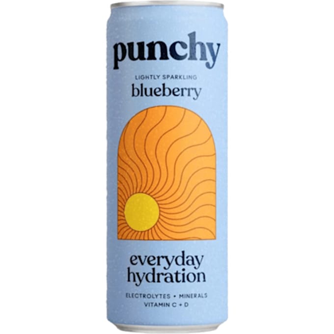 Everyday hydration blueberry
