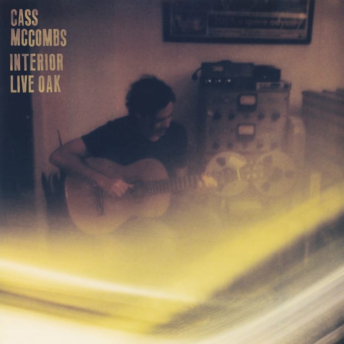 Interior Live Oak - Cass Mccombs