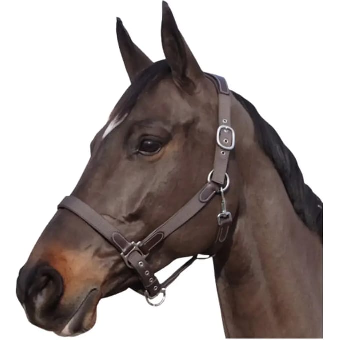 Nylon/leren halster Flags&Cup