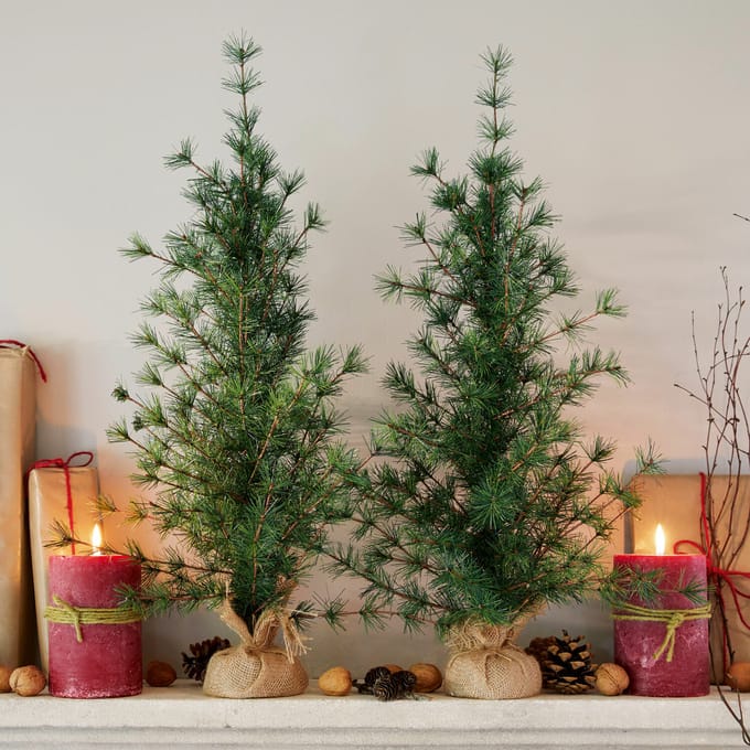 LOBERON Sierboom set van 2 Bohicon groen/bruin