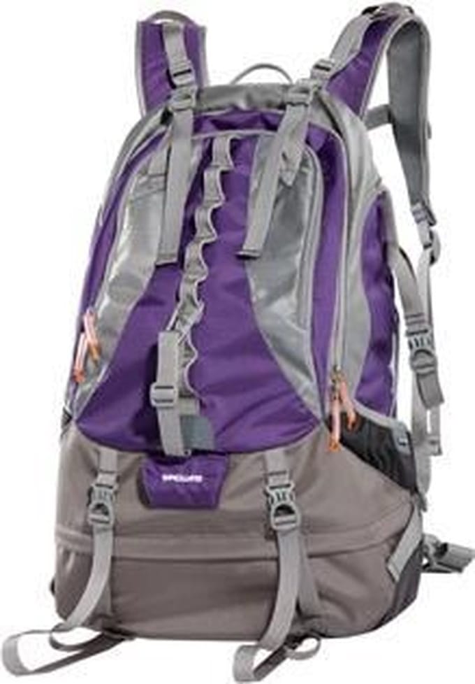 Vanguard Kinray 53PR Grijs, Paars ( 27 x 35 x 54,5 cm )