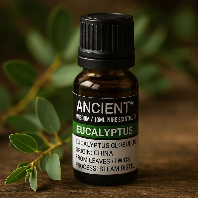 AW - Etherische olie - Eucalyptus - 10ml