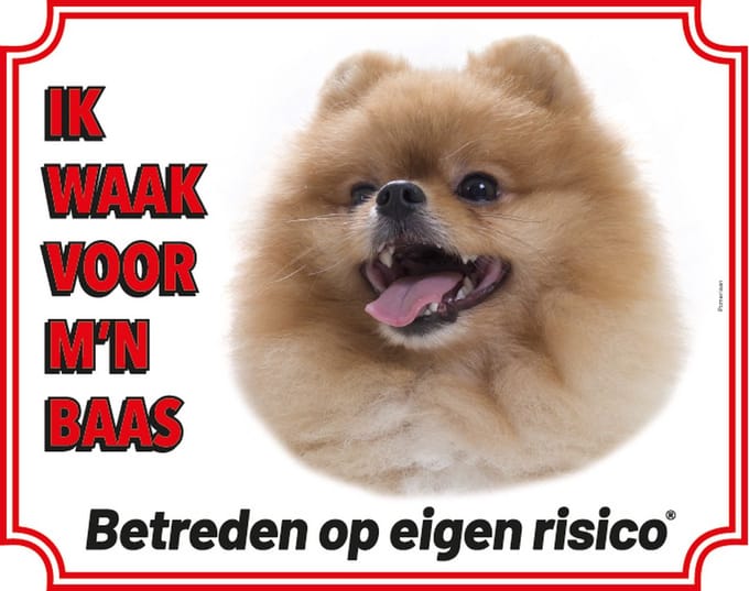 Pomeranian Waakbord - Ik waak voor mijn baas