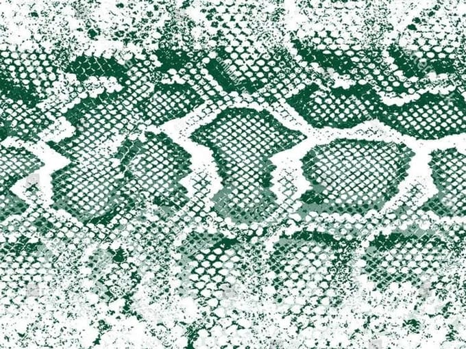 Vinyl | Vloerkleed vinyl | Snake groen | 170x240 cm