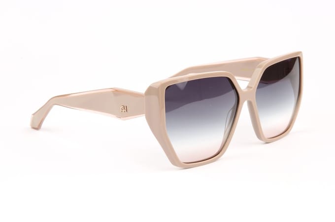 Ana Hickmann Sunglasses AH9420 D01 62