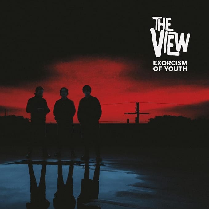 The View -Exorcism of Youth (Cd)
