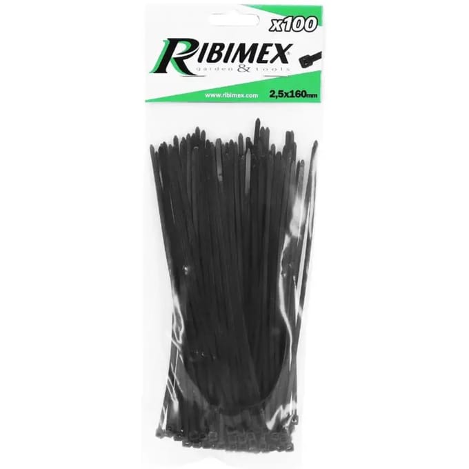 Pak van 100 nylon klemmen P2R Rilsan 2,5 x 160 mm