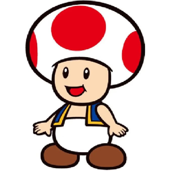 3d kussen Nintendo Super Mario Bros Toad