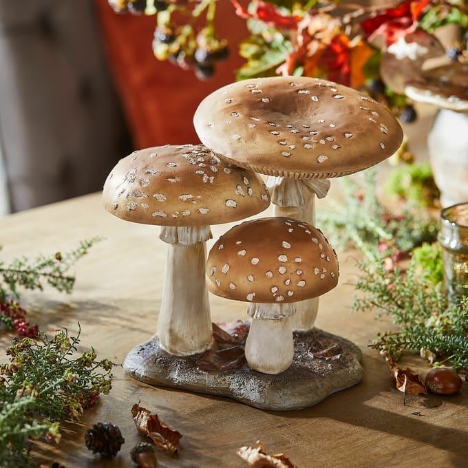 LOBERON Sierpaddenstoelen Harvelle bruin