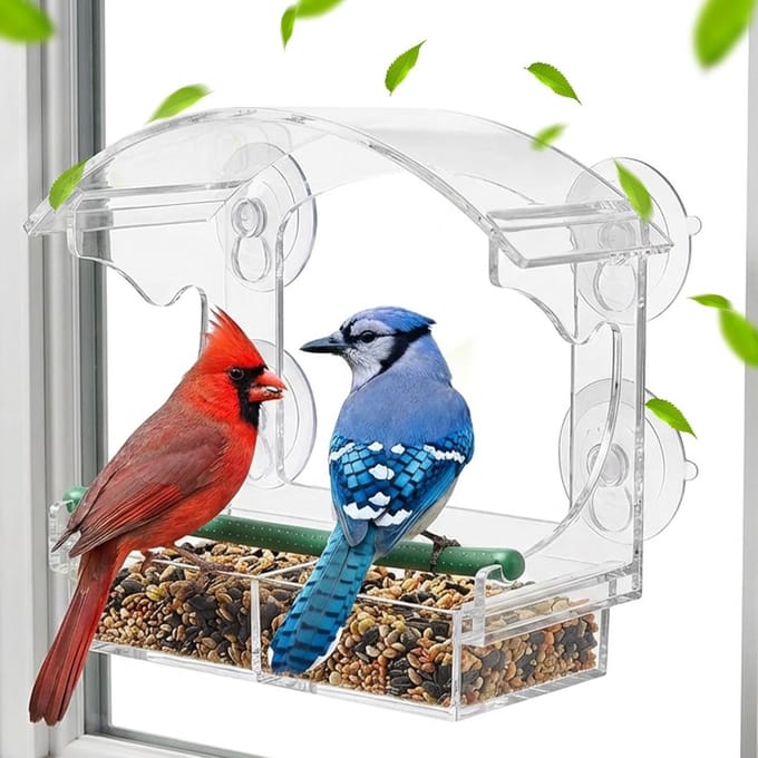 Solidchoice - Transparante Vogelvoeder Dispenser voor Raam met Camera Optie