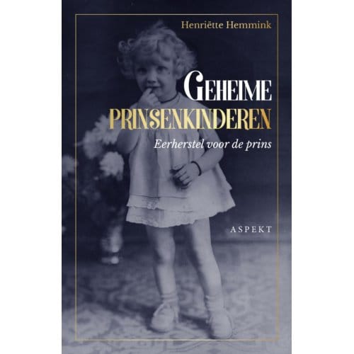 Geheime Prinsenkinderen - Henriëtte Hemmink