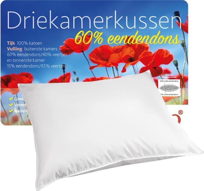 iSleep 3-Kamer Hoofdkussen - Puntkussen - Eendendons - 60x70 cm - Wit