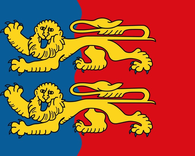 Vlag Manche 100x150cm