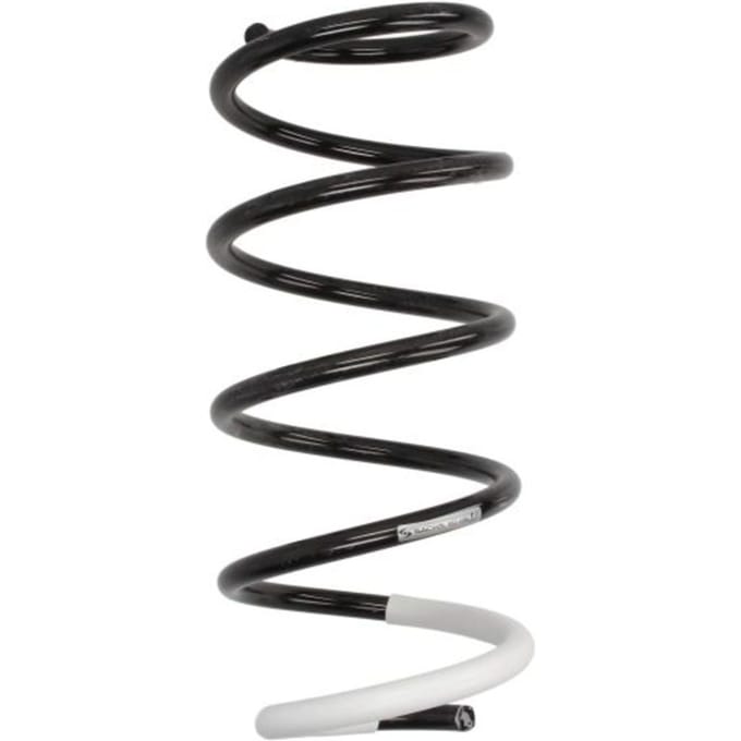Chassisveer SACHS 993 596
