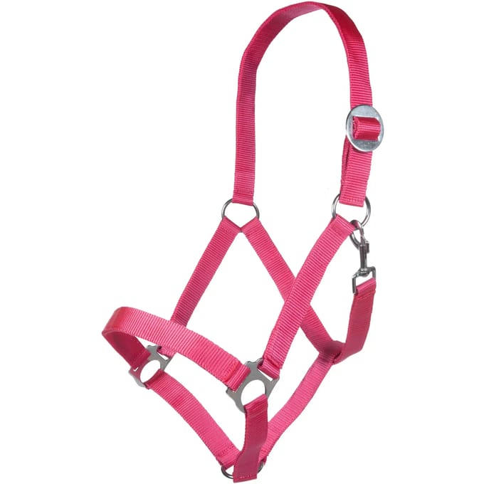 Halster -Stars Economy Softice- roze Full