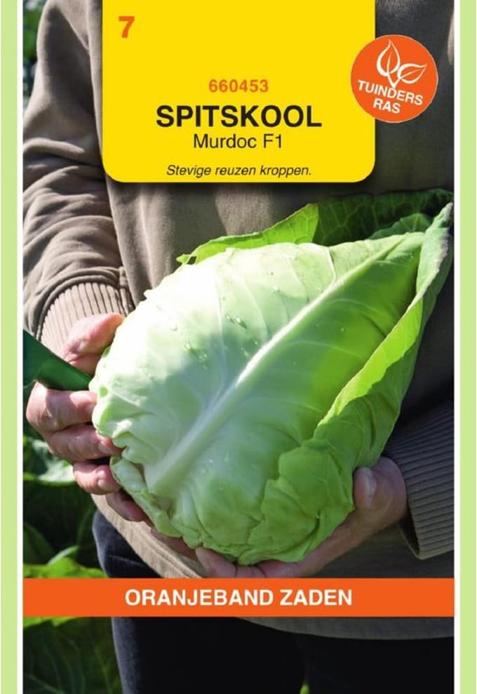 Oranjeband zaden - Spitskool Murdoc F1